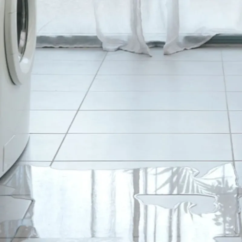 Appliance Leak Cleanup in East Milton, FL