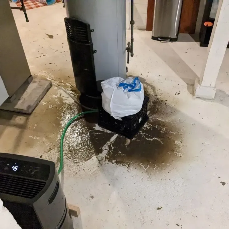 Sewage Backup Cleanup Service in East Milton, FL